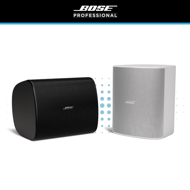 Bose DesignMax DM12SE 12" Loudspeaker