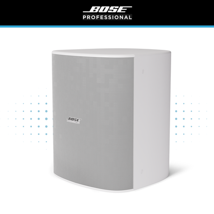Bose DesignMax DM12SE 12" Loudspeaker
