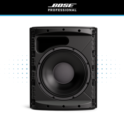 Bose DesignMax DM12SE 12" Loudspeaker