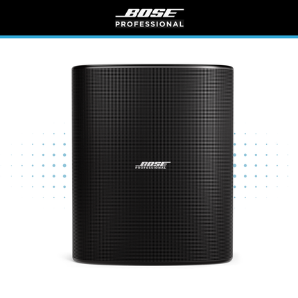 Bose DesignMax DM12SE 12" Loudspeaker