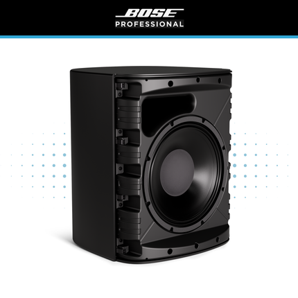 Bose DesignMax DM12SE 12" Loudspeaker