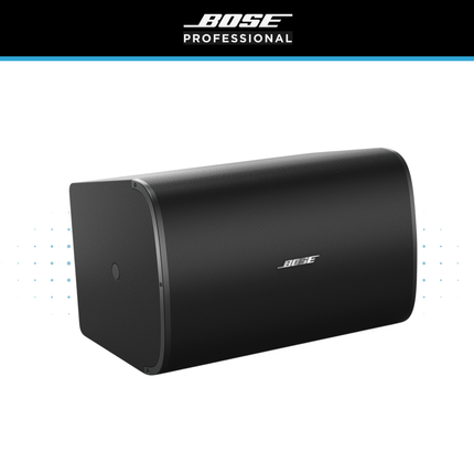 Bose DesignMax DM10S