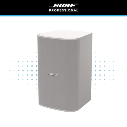 Bose DesignMax DM10S