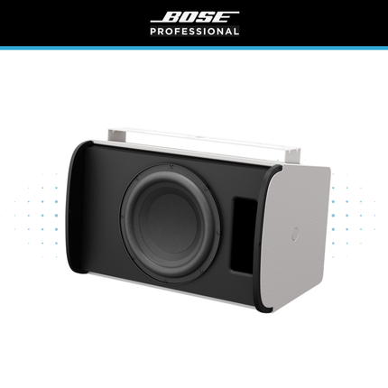 Bose DesignMax DM10S