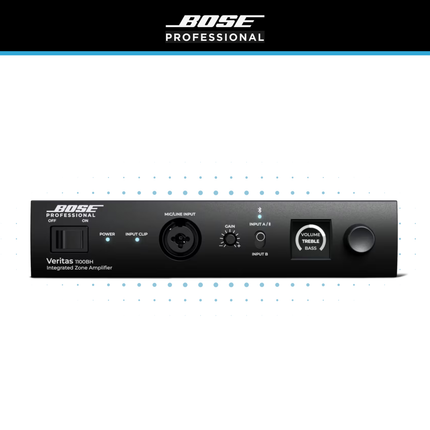 Bose Veritas 1100BH Amplifier