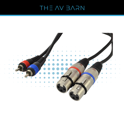 2x RCA Phono to 2x Female XLR Lead