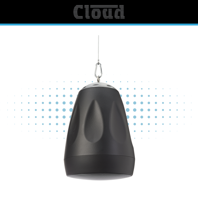 Cloud CVS-P62T Contractor Series Pendant Speaker – Black or White