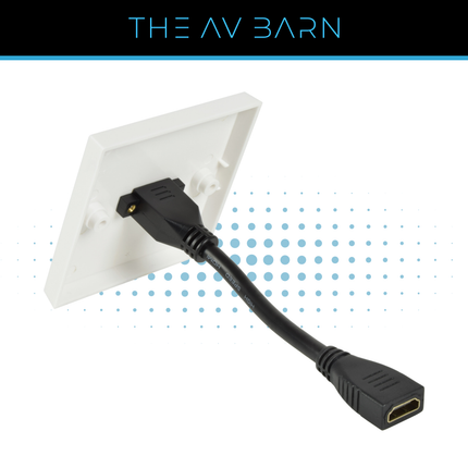 HDMI Wallplate with Female Tail