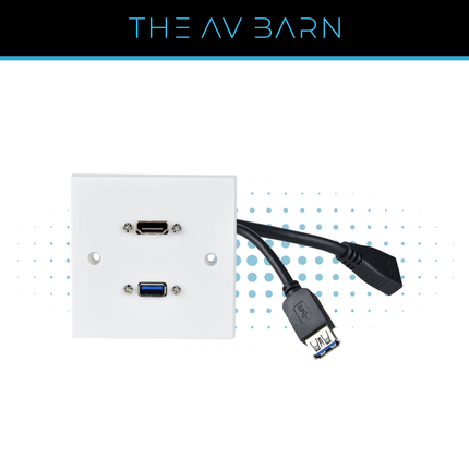 USB & HDMI Multimedia Wallplate