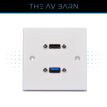 USB & HDMI Multimedia Wallplate
