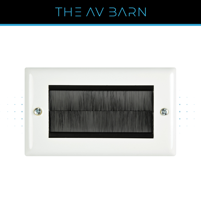 Double Gang Brush Wallplate